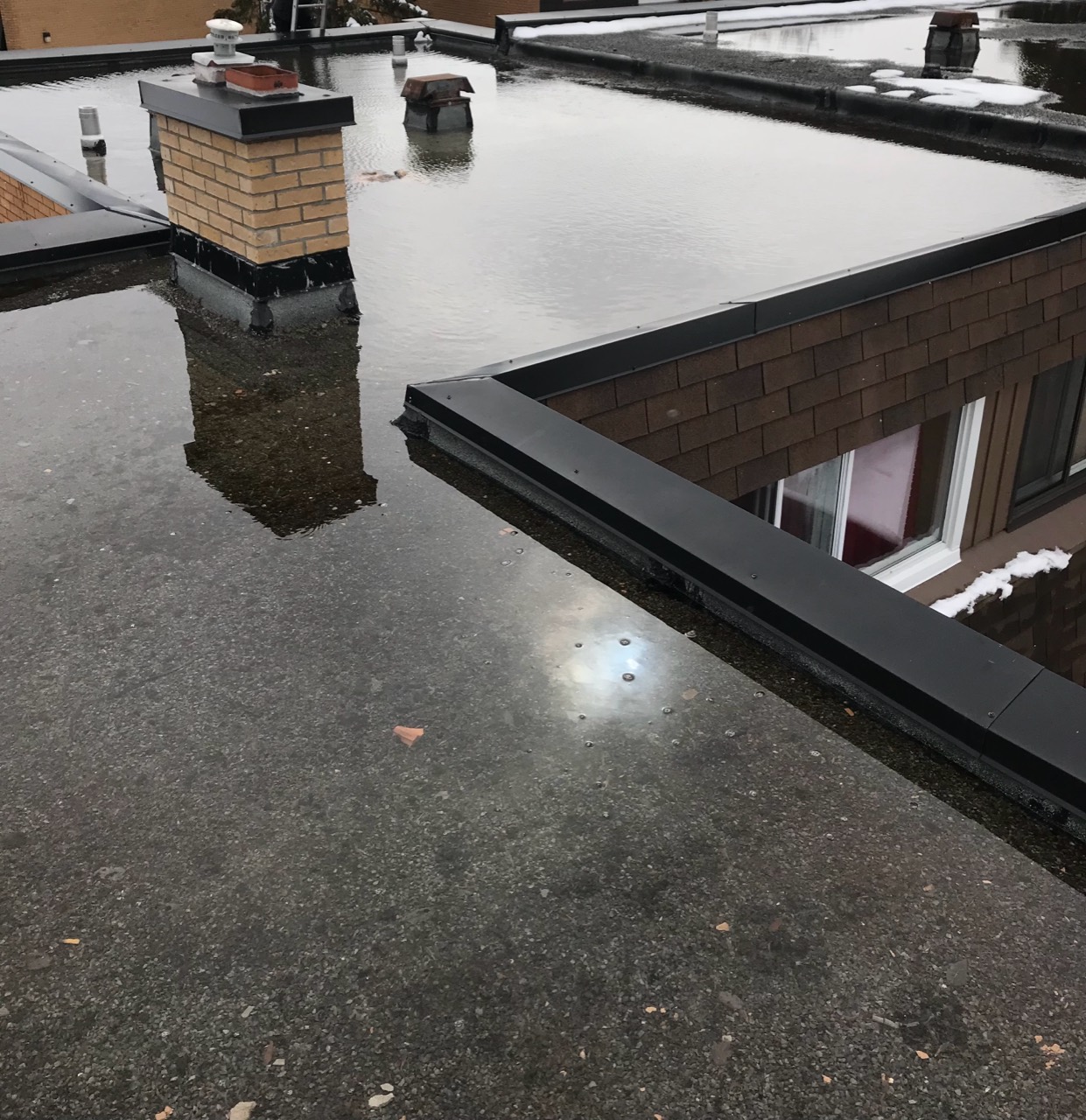 Standing water on a flat roof where vegetation had blocked the drainage